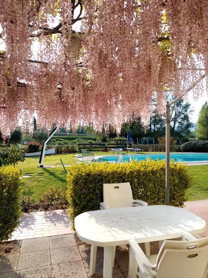 Agriturismo Ca' Castellani Бардоліно Екстер'єр фото